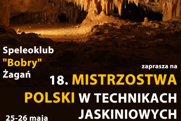plakat a41 3