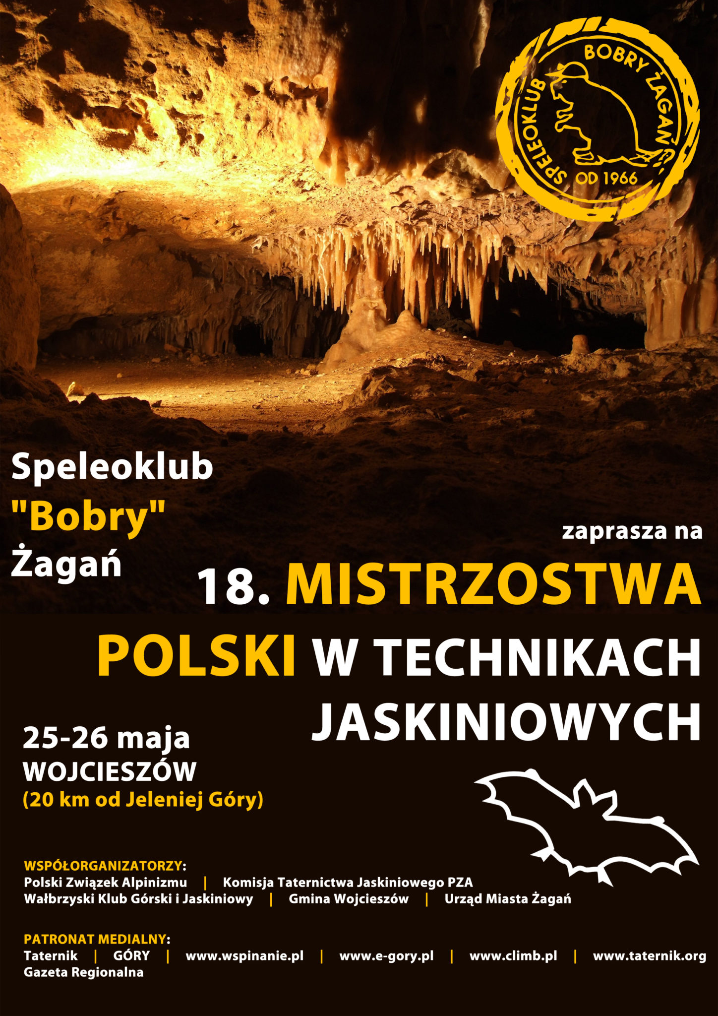 plakat a41 3