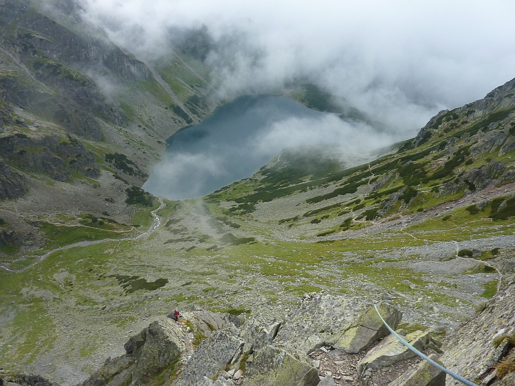 zeberkookno