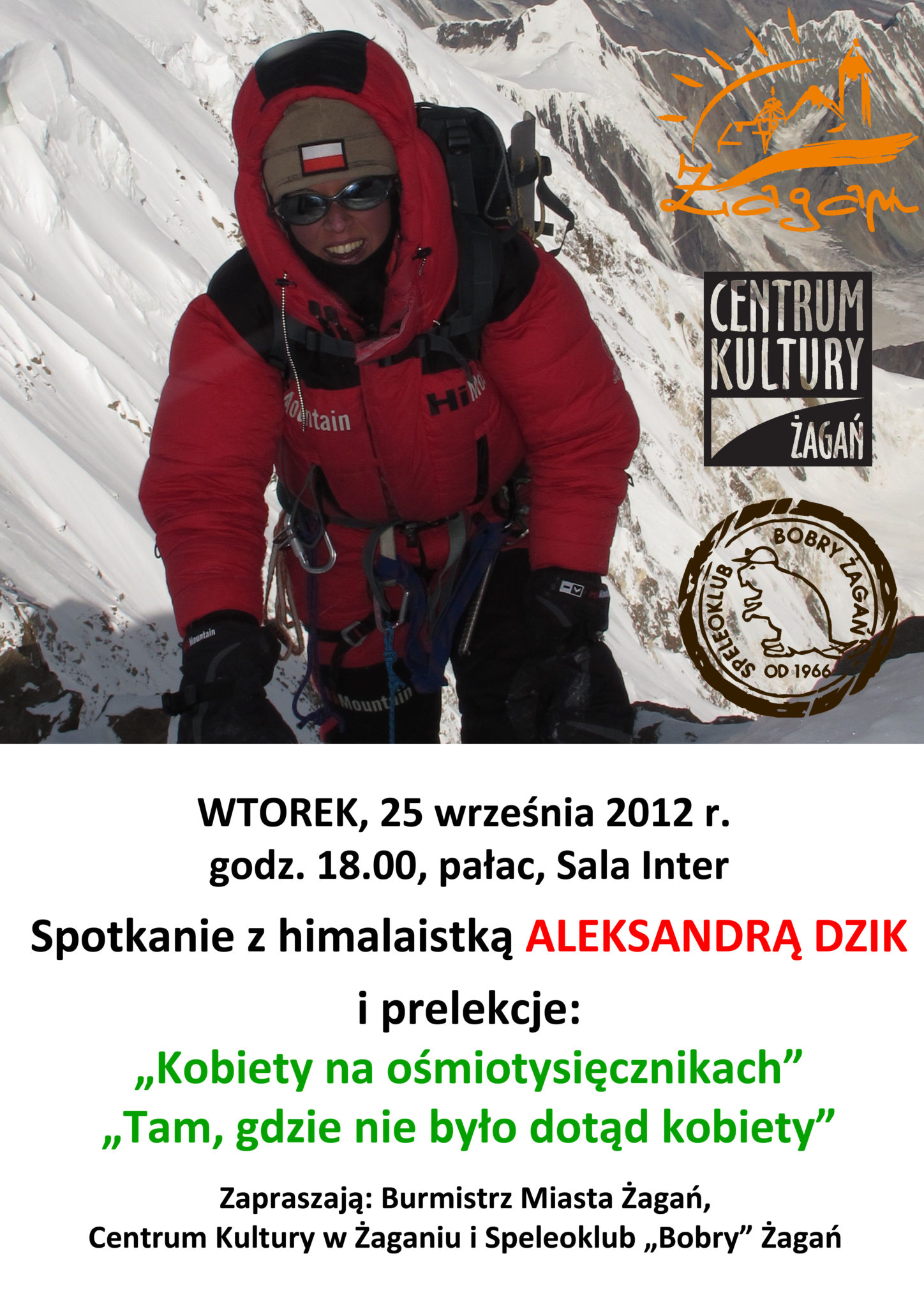 dzik2 1