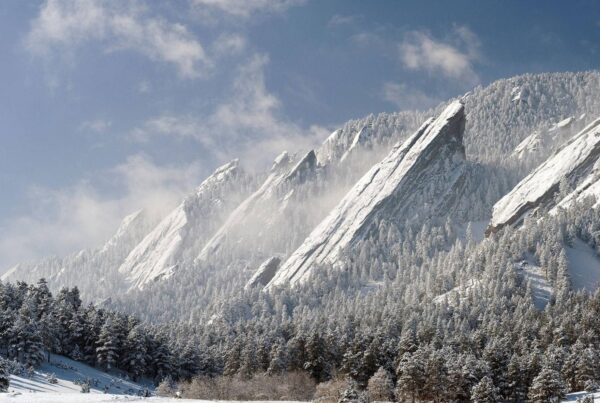 mountains landscapes nature winter snow forest 1920x1080 wallpaper Wallpaper 1920x1080 www.wallpaperswa.com 2
