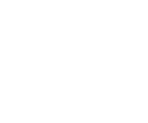 partnerzy 0000 dsw q