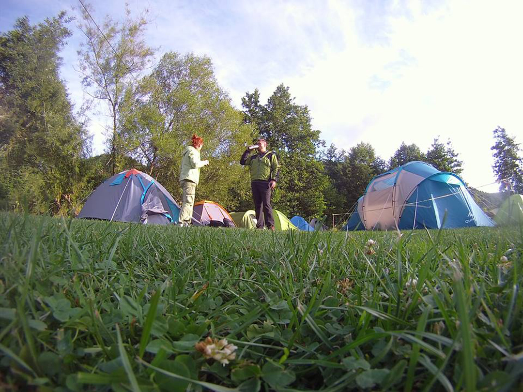 11181182 1191732937519345 4259965216161170193 n.jpg