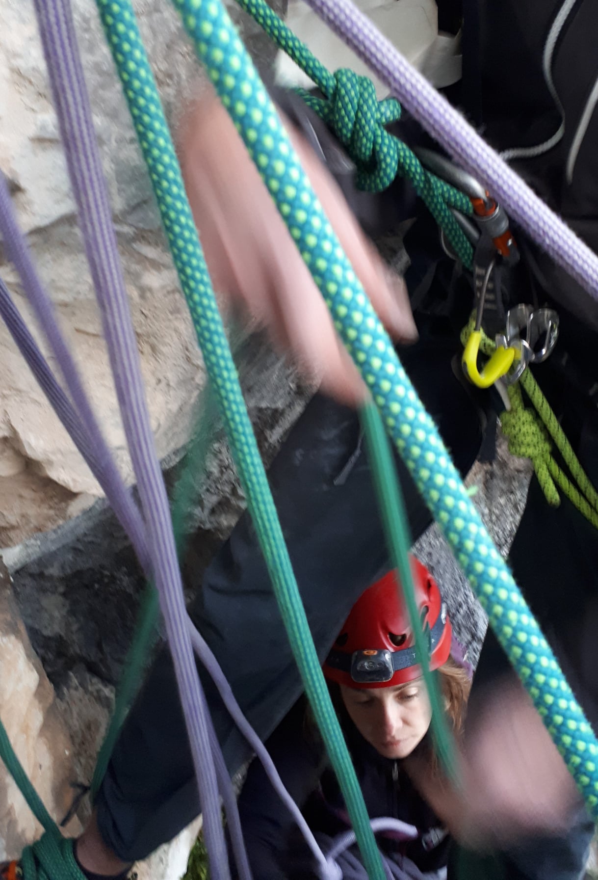 250501735 7066334266725820 8599919498082823855 n.jpg