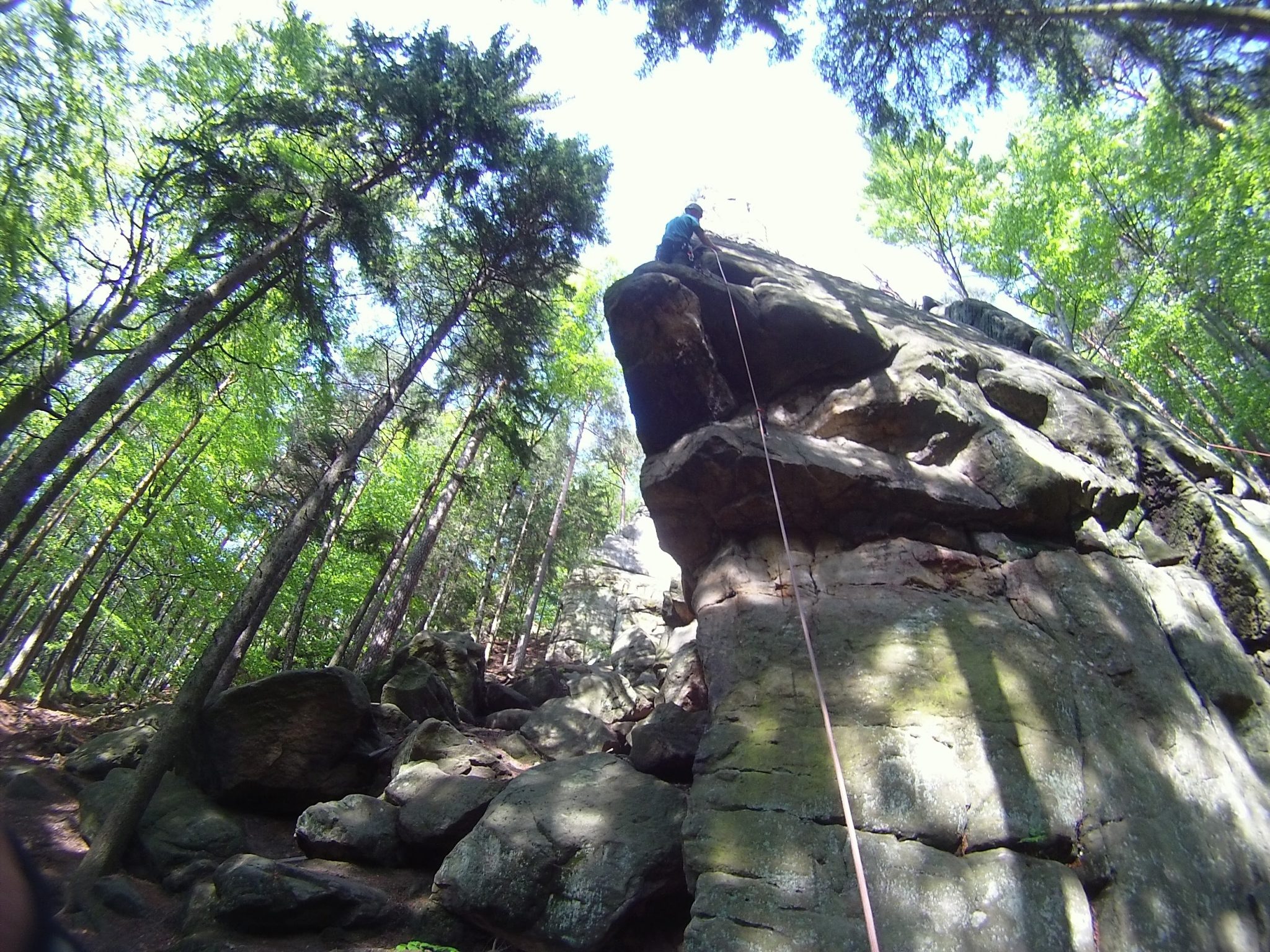 AMBA0360.jpg