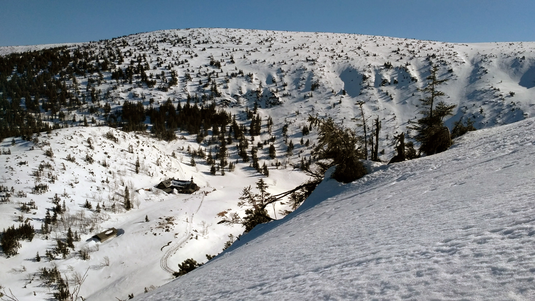 IMG 20190227 130530.jpg
