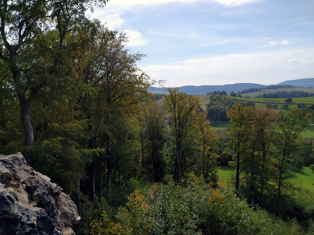 IMG 20201003 112656.jpg