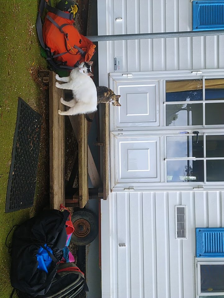 IMG 20230516 162859.jpg