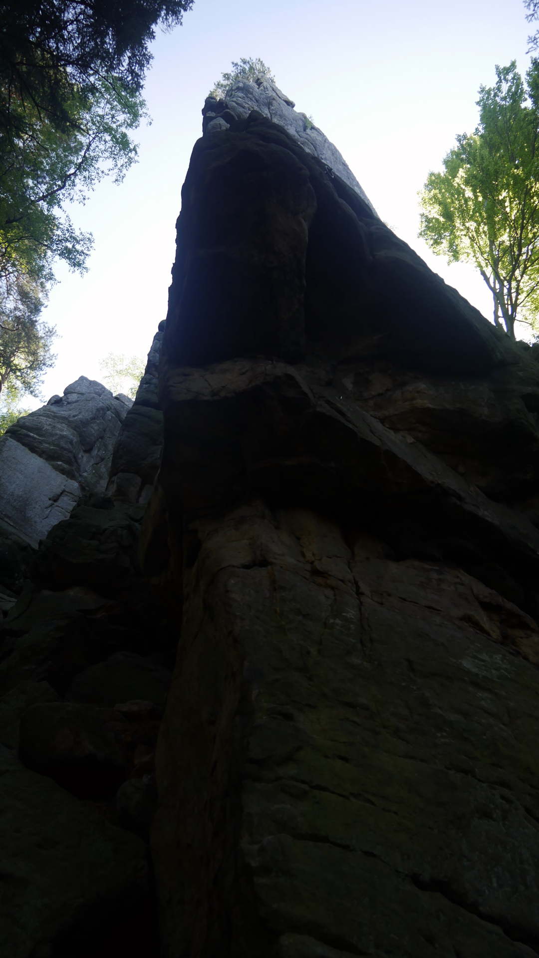 P1080556.jpg