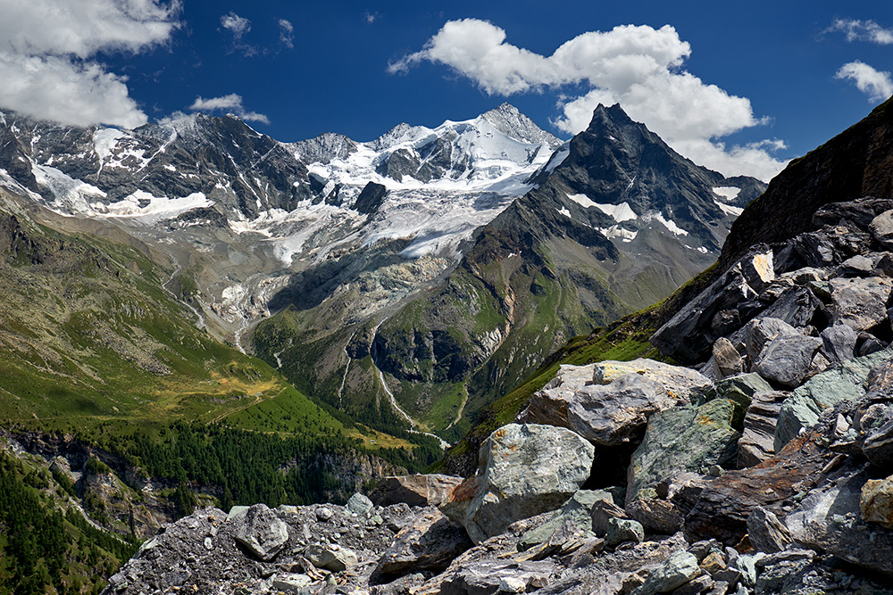 bishorn0003.jpg