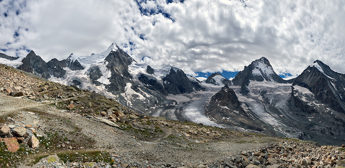 bishorn0004.jpg