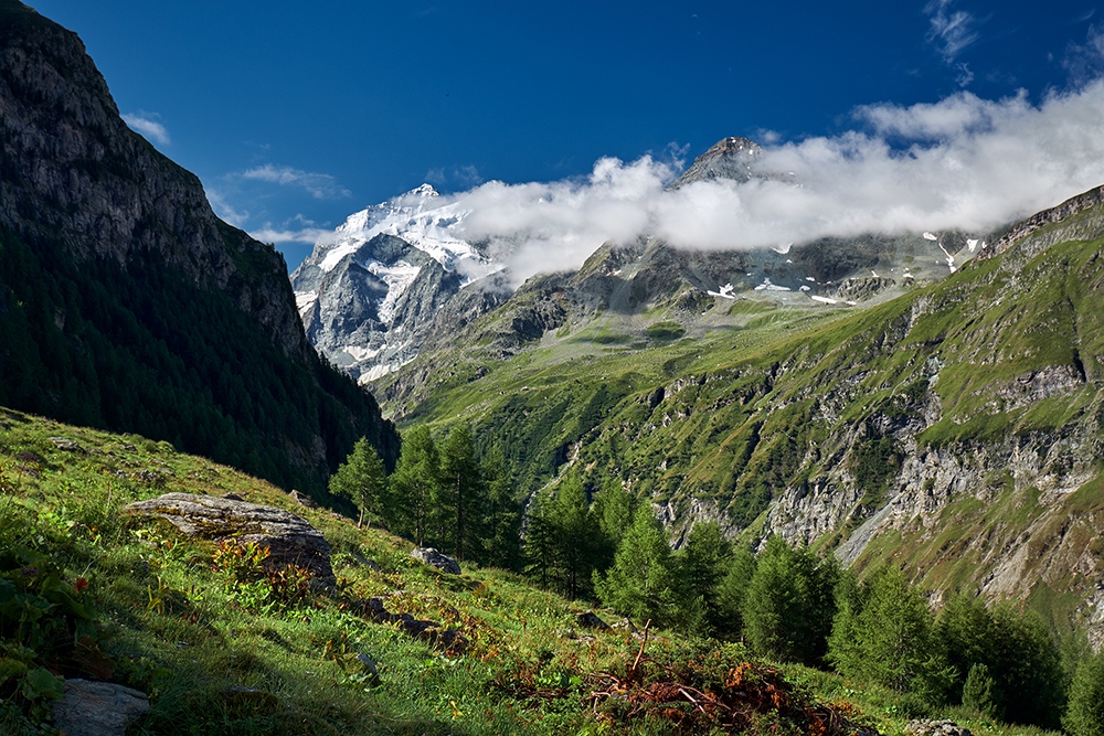 bishorn0022.jpg