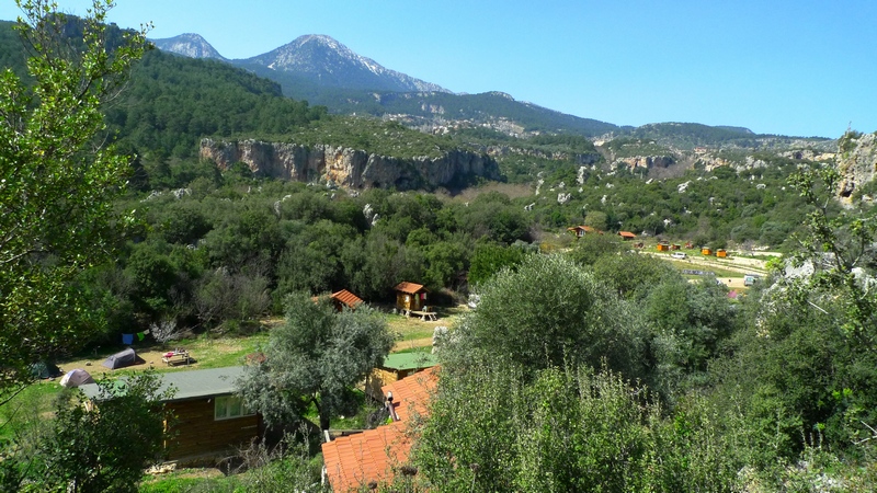 corr p1040494.jpg