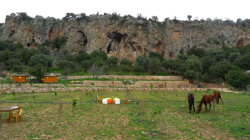 corr p1040576.jpg