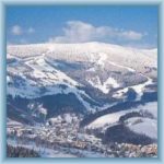 image1 image1